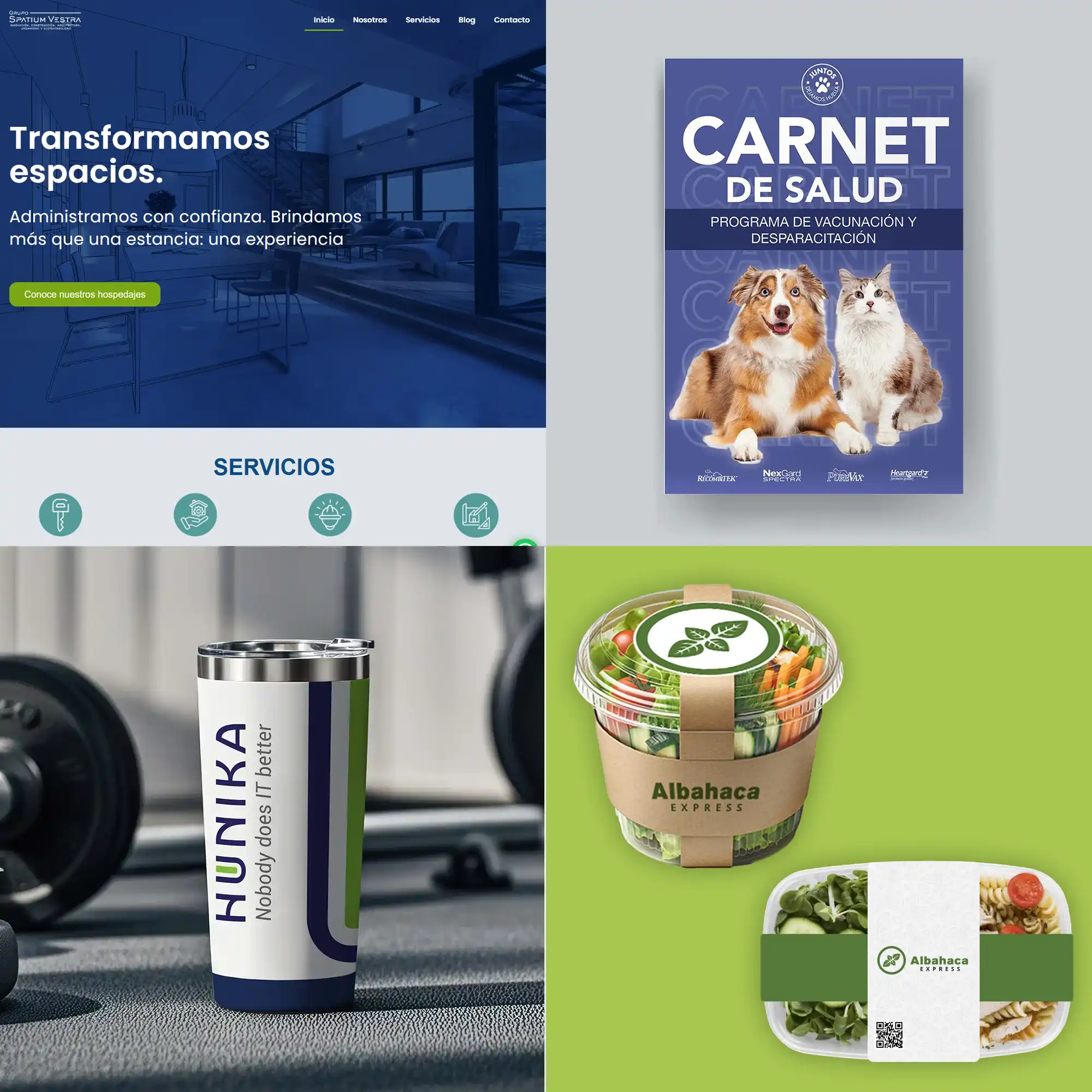 Servicios de diseño gráfico para editorial y branding de salud animal