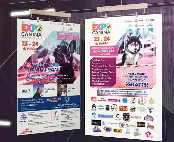 Servicios de diseño gráfico en la Ciudad de México